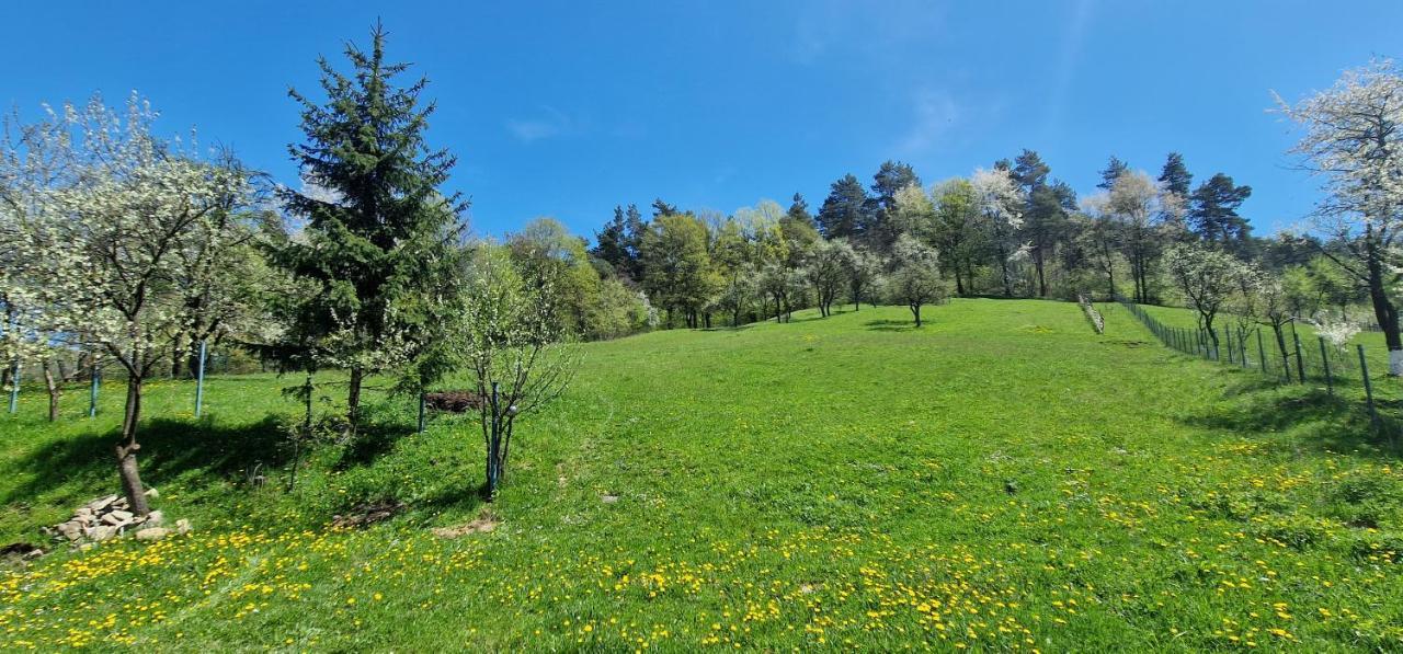 Pilisca Holiday Home Dobirlau Exterior photo