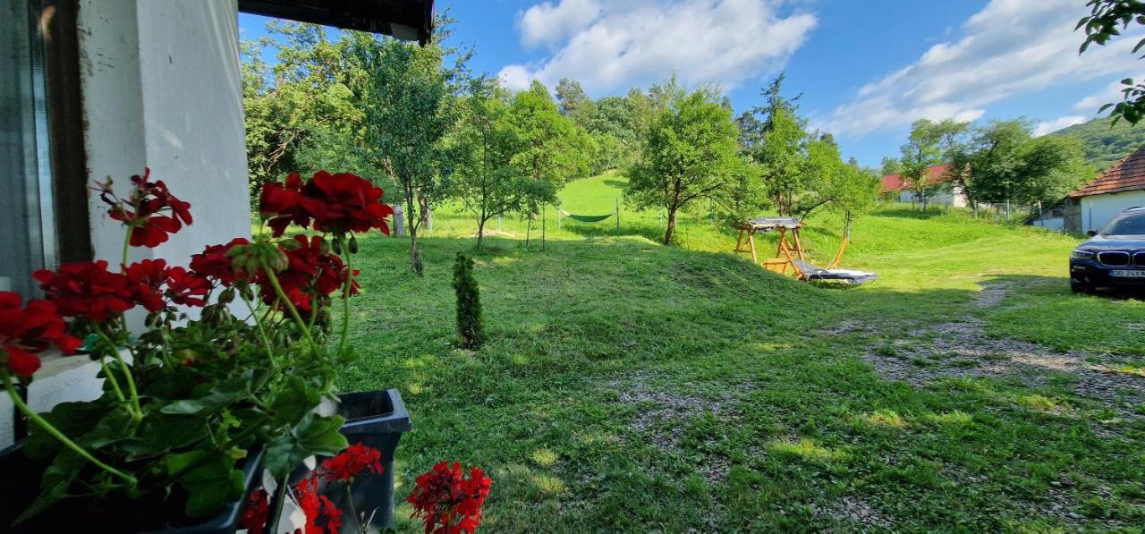 Pilisca Holiday Home Dobirlau Exterior photo