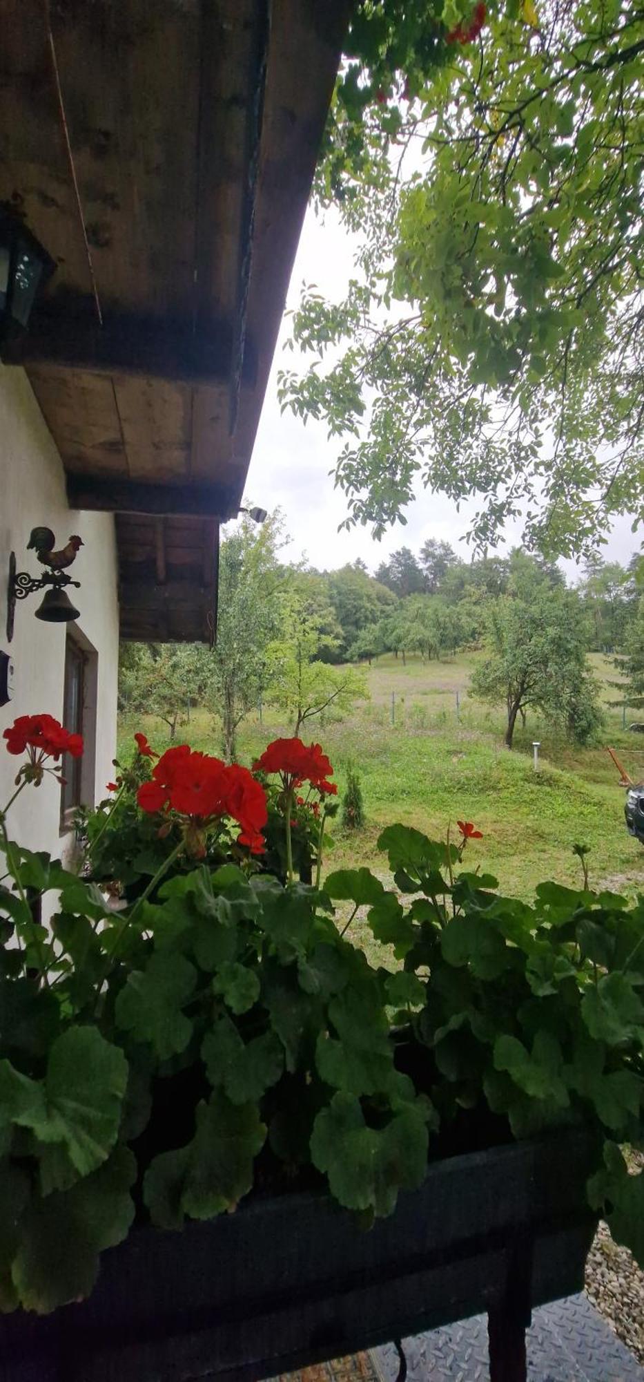 Pilisca Holiday Home Dobirlau Exterior photo